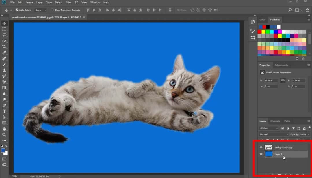 Jak zmienić tło w Photoshopie? Prosty przewodnik krok po kroku